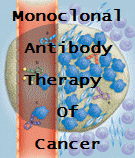 Monoclonal Antibody Therapy in Cancer