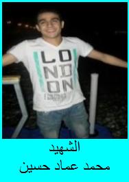 Martyr Mohammad Emad Hussein