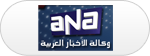 egypt-arab-news-agency